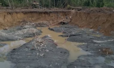 Garimpeiros ilegais do Brasil invadem área ianomâmi na Amazônia venezuelana