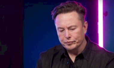 Filha de Elon Musk vai à Justiça para retirar nome do pai