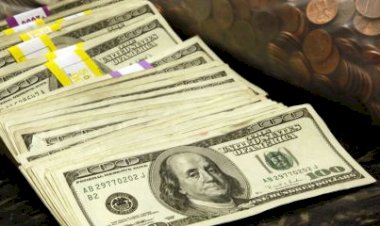 Dólar tem quarta semana seguida de valorização; Ibovespa acumula 4ª de queda