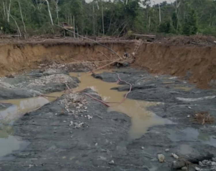 Garimpeiros ilegais do Brasil invadem área ianomâmi na Amazônia venezuelana