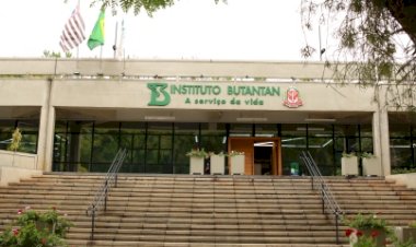 Butantan cria comitê para avaliar produção de vacina contra varíola dos macacos