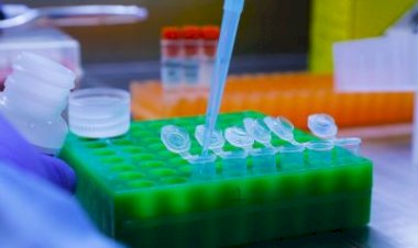 OMS mantém pandemia da Covid-19 como emergência internacional