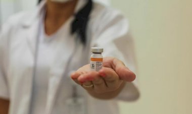 CoronaVac para crianças de 3 a 5 anos é aprovada pela Anvisa; decisão foi unânime