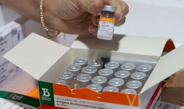 Ministério da Saúde recomenda que estados e municípios ampliem CoronaVac para crianças de 3 a 5 anos