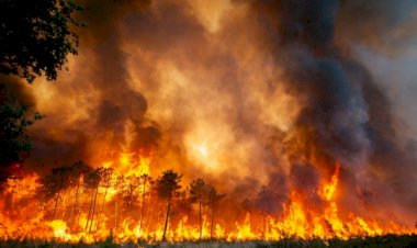Europa vive onda de calor extremo e incêndios florestais