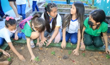 Alimentação Saudável: Escola da prefeitura inaugura sua primeira horta escolar, em parceria com o Inpa