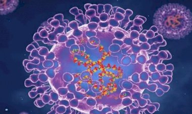 OMS declara varíola dos macacos emergência internacional de saúde