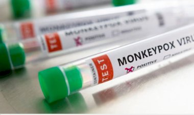 Terceiro caso de varíola dos macacos é confirmado no Amazonas