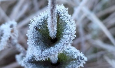 Sul registra forte geada na madrugada de sábado, com -7,6ºC em Santa Catarina