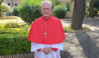'A Amazônia é agradecida ao Papa Francisco', diz Dom Leonardo Steiner sobre posse como cardeal no Vaticano