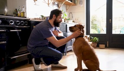 Olhos dos cães se enchem de lágrimas quando se reencontram com seus donos