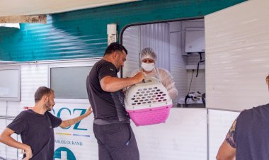 CCZ divulga calendário de agendamento para castração de cães e gatos entre outubro e dezembro