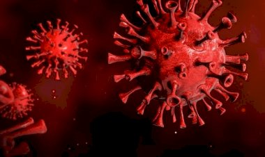 Vírus novo semelhante ao da Covid pode atacar humanos, diz cientista