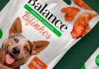 Senacon determina recolhimento de petiscos caninos Balance Bifinhos