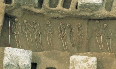 Como a Peste Negra ainda afeta o sistema imunológico humano