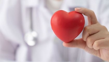 “Hormônio do amor”, ocitocina pode ter potencial de regenerar o coração, diz estudo