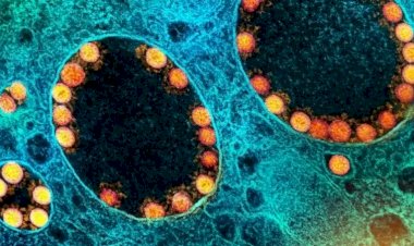 Covid-19: testes positivos em alta acendem alerta sobre nova onda no Brasil