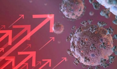 Covid em alta: o que é comprovado e eficaz para proteção e que já se sabe que não ajuda na luta contra o vírus