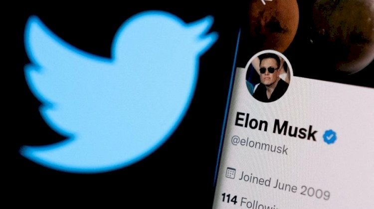 Musk já demite no Twitter; brasileira relata 'clima de luto'