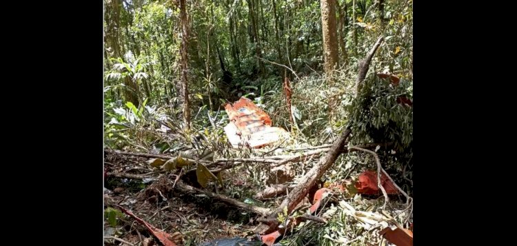 Avião da FAB que desapareceu é encontrado em SC; dois ocupantes morreram