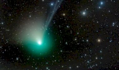 Cometa verde aparecerá no céu noturno pela primeira vez em 50 mil anos