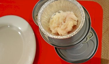 Pirarucu na lata: peixe em conserva é desenvolvido por pesquisadores da Embrapa