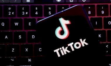 TikTok teria botão secreto para “bombar” vídeos na plataforma, diz revista