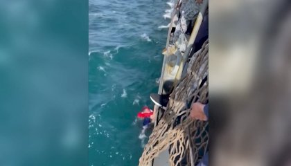 Homem é resgatado após semanas perdido no mar se alimentando apenas com molho de tomate