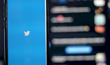 Ex-funcionários do Twitter lançam serviços para competir com rede de Musk