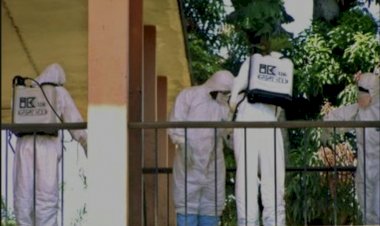 Vírus de Marburg, um dos mais letais do mundo, tem surto confirmado pela OMS