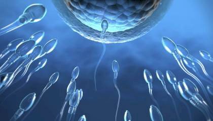 Pesquisadores criam pílula anticoncepcional masculina que imobiliza espermatozoides