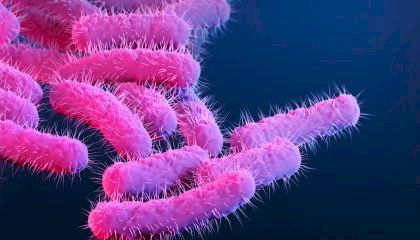 Órgão de saúde dos EUA emite alerta de aumento de bactérias resistentes a medicamentos