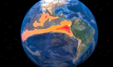 Do cafezinho ao etanol: como El Niño pode afetar Brasil em 2023