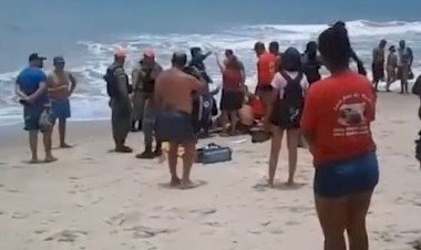 Adolescente sofre ataque de tubarão em Piedade, no Grande Recife; é o segundo caso em dois dias