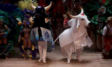 Governador Wilson Lima lança Festival de Parintins, anuncia R$ 10 milhões em patrocínio aos bumbás e reforça compromisso com a Sustentabilidade