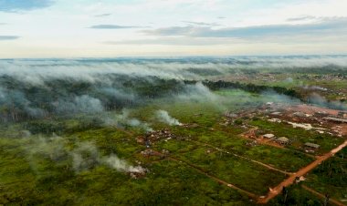 Ministro da Noruega visitará Brasil para tratar do Fundo Amazônia