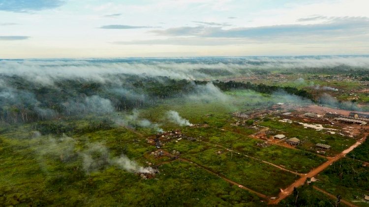Ministro da Noruega visitará Brasil para tratar do Fundo Amazônia