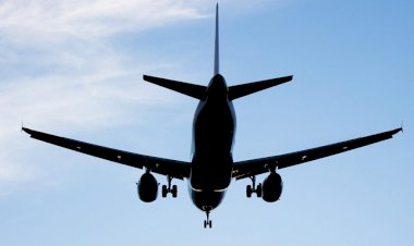 Passageira denuncia importunação sexual em voo, mas não recebe ajuda