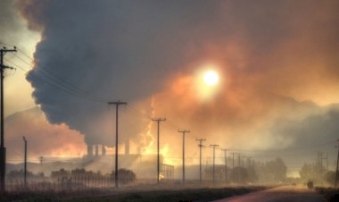 Cientistas alertam para aumento de infecções bacterianas fatais devido ao aquecimento global
