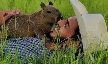 Influenciador ficará com capivara Filó após multa do Ibama