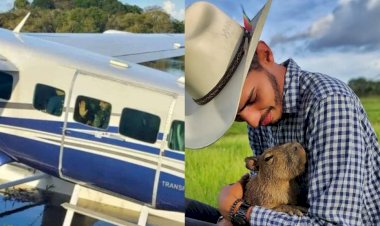 Agenor entrega 'Filó' ao Ibama, em Manaus: 'Seu verdadeiro habitat natural é meu coração'