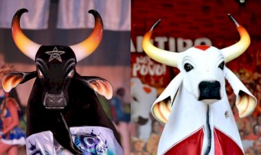 Lançamento das todas do Caprichoso e  Alvorada do Garantido mobilizam a Ilha Tupinambarana