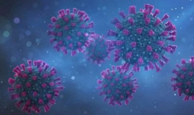 Covid: o que se sabe sobre a Arcturus, nova cepa circulando no Brasil