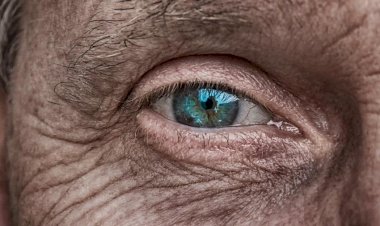 Cientistas descobrem 'fórmula' para atrasar envelhecimento em 80%