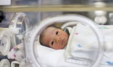 OMS alerta sobre “emergência silenciosa” de nascimentos prematuros no mundo