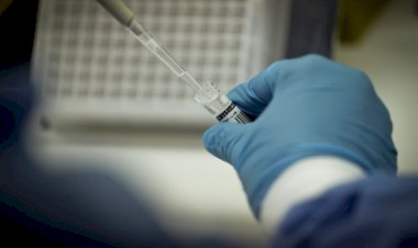 Brasil investiga quatro casos suspeitos de gripe aviária em humanos