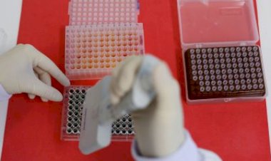 Gripe aviária é registrada pela 1ª vez no Rio Grande do Sul; Brasil possui 13 focos da doença