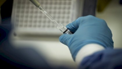 Brasil investiga quatro casos suspeitos de gripe aviária em humanos