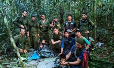 Crianças e bebê são encontrados vivos após queda de avião na Colômbia