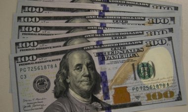 Dólar cai e fecha a R$ 4,77, menor patamar em mais de um ano. É hora de comprar?